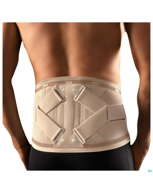 Bort stabilo bandage dos +pelotte gris ag  l