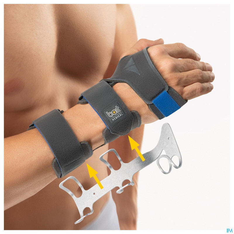 Bort manudisc droite bleu xl