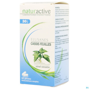 Elusanes cassis feuille pot caps 60