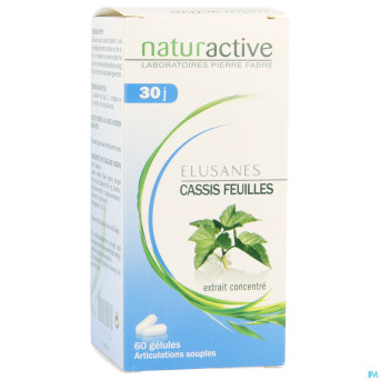 Elusanes cassis feuille pot caps 60