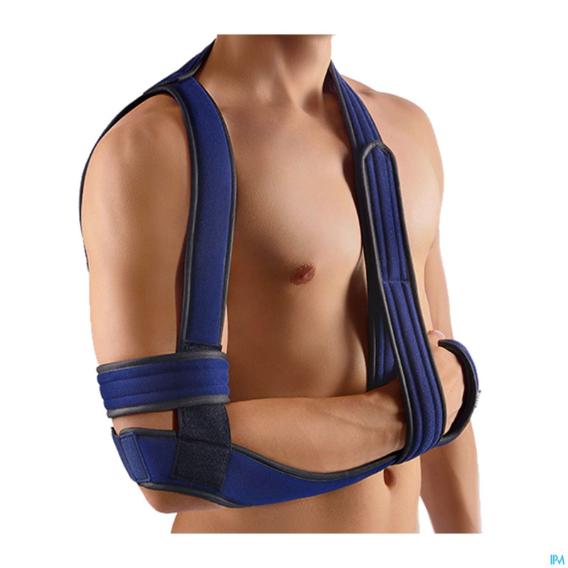 Bort omobasic gilchrist bleu t1