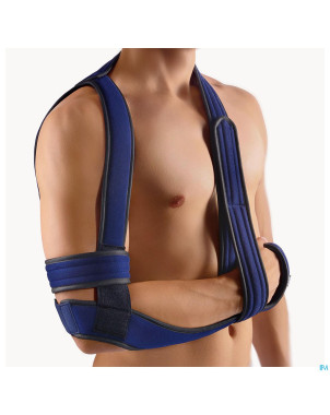 Bort omobasic gilchrist bleu t3