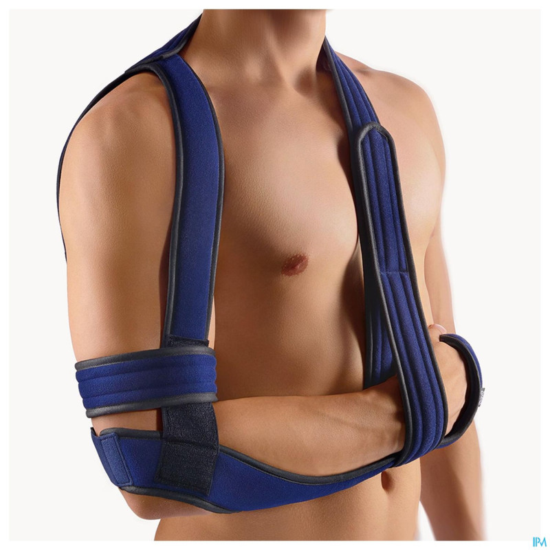 Bort omobasic gilchrist bleu t2