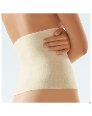 Bort ceinture adbominale thermo chair xl