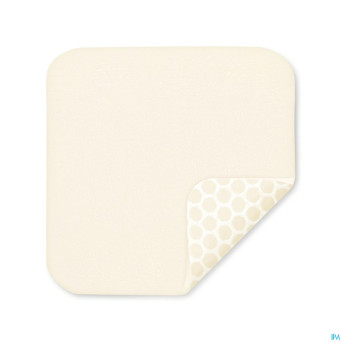 Hydrotac pans n/adh ster    10,0x10,0cm 10 6858320