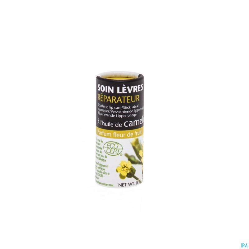 Plante system stick levres reparateur