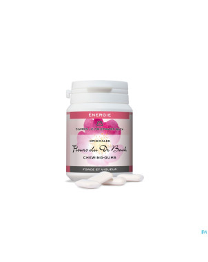 Fleurs de bach chewing gum n40 energie 40