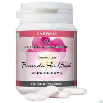 Fleurs de bach chewing gum n40 energie 40