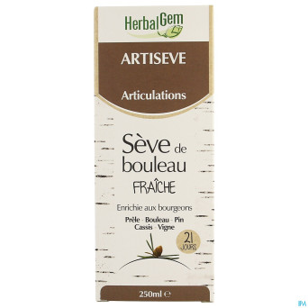 Herbalgem artiseve 250ml