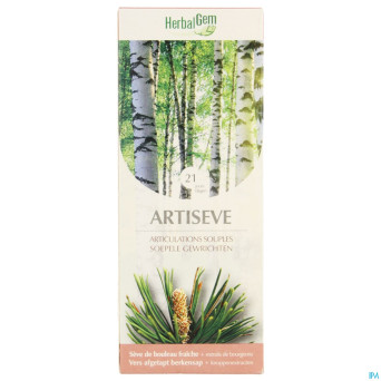 Herbalgem artiseve 250ml