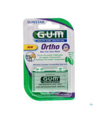 Gum orthodontic wax mint    724