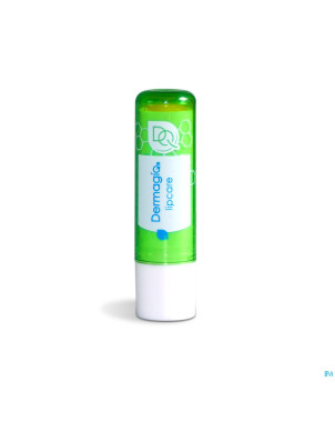 Dermagiq lipcare stick 5g