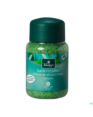 Kneipp sel de bain air pur mint-eucalyptus 500g