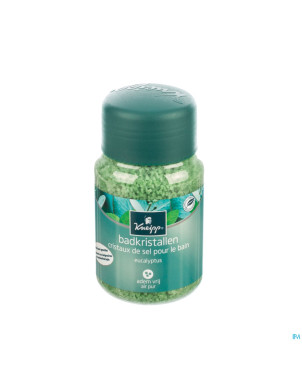 Kneipp sel de bain air pur mint-eucalyptus 500g