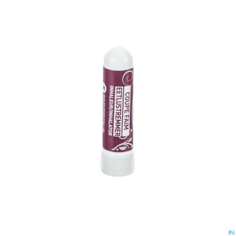 Puressentiel minceur inhaleur coupe faim    1ml