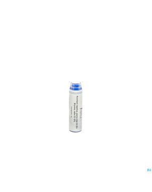 Aconitum n. p.t.d2 5% bryonia rx d2 10% gr 4g