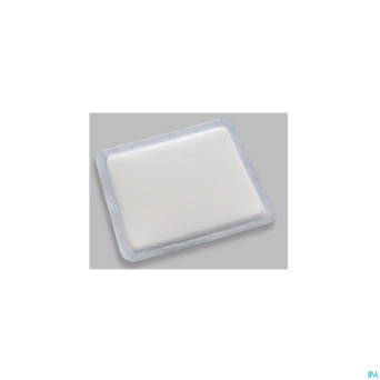 Vliwasorb pans absorb ster 20x30 10 26904