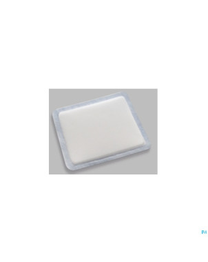 Vliwasorb pans absorb ster 20x30 10 26904