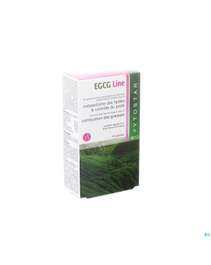 Fytostar expertise egcg line slimming caps 60