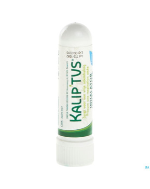 Kalip'tus inhalateur nf 1ml