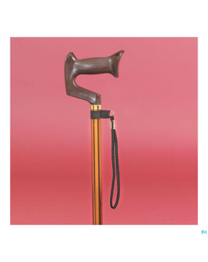 Laniere pour canne    homecraft