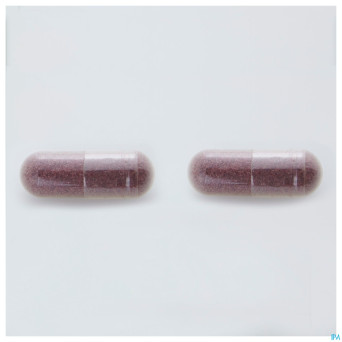 Probicran    gel 90 orthonat