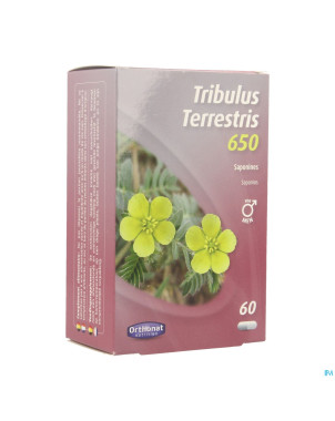 Tribulus terrestris    gel 60 orthonat