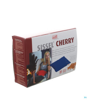 Sissel cherry coussin noyaux cerise 23x26cm bleu