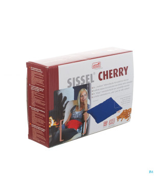 Sissel cherry coussin noyaux cerise 23x26cm bleu