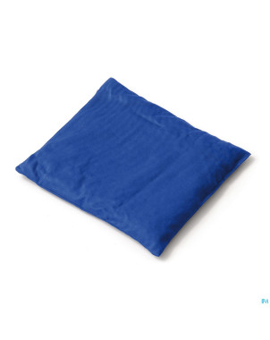 Sissel cherry coussin noyaux cerise 23x26cm bleu