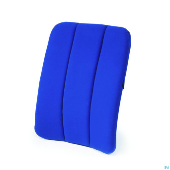 Sissel dorsaback car dossier bleu