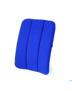 Sissel dorsaback car dossier bleu