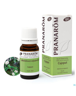 Cajeput bio    hle ess  10ml pranarom
