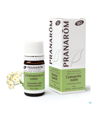Pranarom he camomille noble bio 5ml