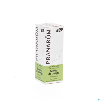 Pranarom he menthe des champs bio 10ml