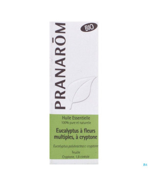 Pranarom he eucalyptus cryptone bio 10ml
