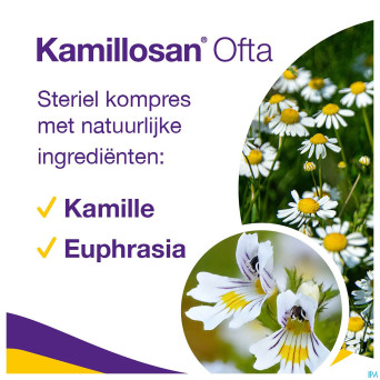 Kamillosan ofta compresse 28