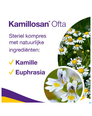 Kamillosan ofta compresse 28