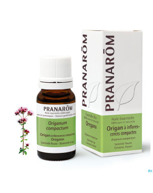 Pranarom he origan inflorescences 10ml