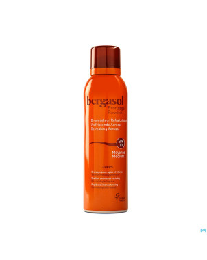Bergasol aerosol ip10 nf 150ml