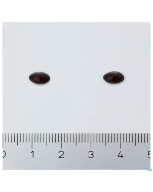 Bioactive slim 24  90 caps+90 tabl