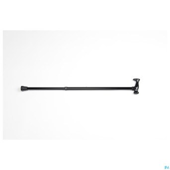 Canne monica    vermeiren