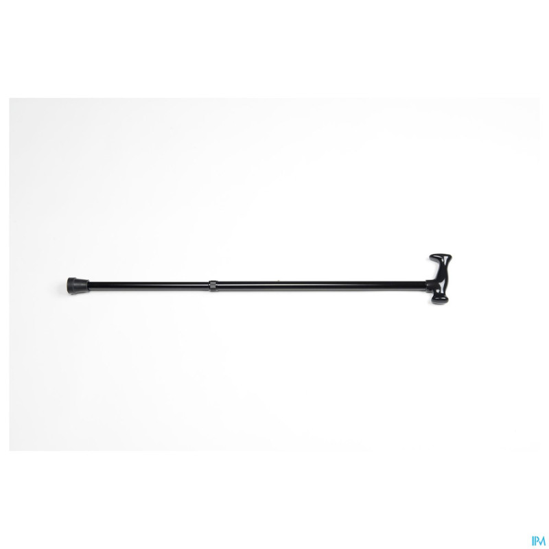 Canne monica    vermeiren