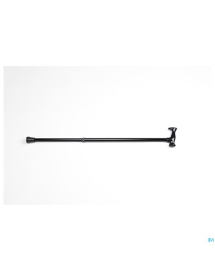 Canne monica    vermeiren