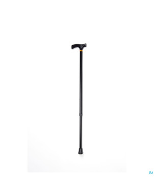 Canne mary    vermeiren