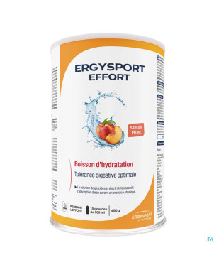 Ergysport effort peche boisson stick 6x30g