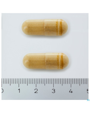 Cognitril    caps  60    nutrisan