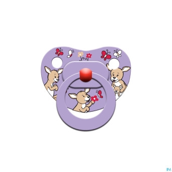 Bibi sucette coll 2011 6mois