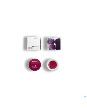 Korres km lip butter plum    pot 6g