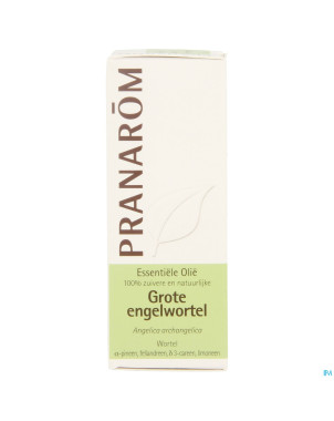 Pranarom he angelique 5ml